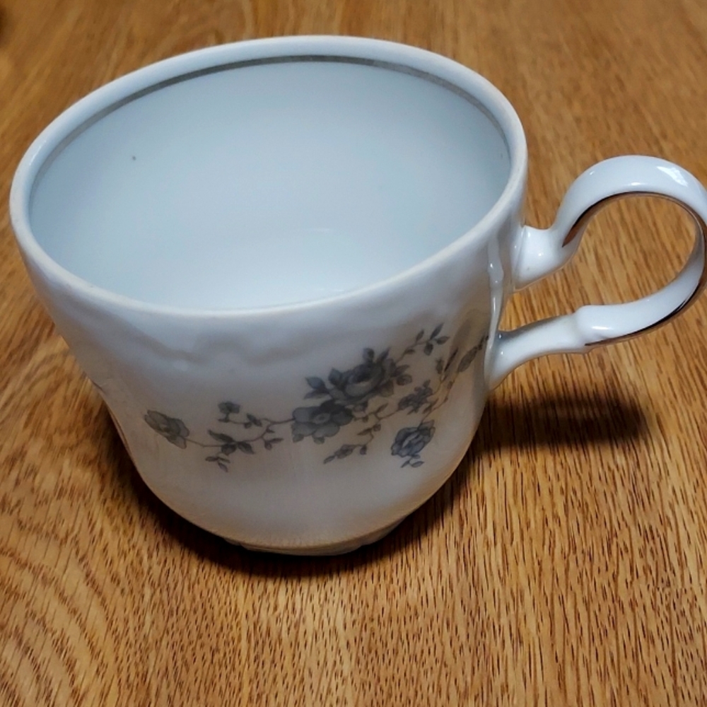 Johann Haviland Bavaria Germany Fine China cups, set of two